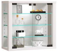 Vcm Wall Display Cabinet Glass Display Case Vitrosa S
