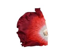 VCSZYAFX Belly Dance Fan 1Pair Silk Long Fan Belly Dance Veil Half Circle(51cm(31 20cm),1pcs right 1pcs left)