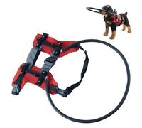 Vdaxvme Blind Dog Mobility Aid Crash Resistant Collar Frame Harness Barrier Sheild Enhancing Pet Walking Independence Dog Mobility Assistance Device