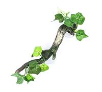 Vdaxvme Reptile Corner Branch Wooden Suction Cups Fish Aquarium Landscape Decoration Bearded Dragons Lizards Tree Root Decoration