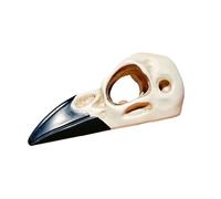 Vdaxvme Textured Amphibian Skull Climbing Structure - Safe Resin Hiding Place for Lizards and Herptiles Tanks Hideouts for Crawling Pets