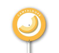 Vdenvileye Aluminum Cantaloupe Signs Yard Sign with Stake for Garden Fruits Garden Label Stakes Plant Markers for Outdoor Plants Waterproof 9.2x9.2 inch