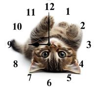 Vdenvileye Clocks for Living Room Funny Cats 25cm Wall Clock Cute Animals Small Battery Operated Wall Clocks Decorative for Kitchen Living Room Bathroom Dining Room