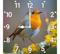 Vdenvileye Robin Clock 25cm Wooden Square Wall Clock Silent Non-tick Battery Powered for Farmhouse Living Room Bathroom Wall Decoration