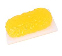 VDLLQYN, 5lb Fat Model - 5 Pounds of Fat Anatomical Fat Model - for Keep Fit, Weight Loss Motivation Reminder, Nutritionist, Anatomical Science Course,解剖模型