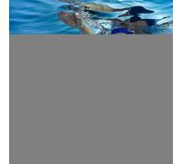 Veasbuu Swim Floating Belt | No Inflation Leak-Proof | Floating Foam Bar For Pool - for River Sea Reservoir Pond Beginners Sports Lovers Fitness Enthusiasts Men Women