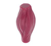 Veemoon 1 Lb Human Muscle Model Anatomy Teaching Display Model Educational Muscle for Medical Students and Fitness Enthusiasts Learning Aid without Base