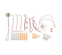 Veemoon 1 Set DIY Fruit Battery Science Experiment Kit for Students Potato Clock Making Kit for Explore Electricity Energy Concepts for Family Learning Activities