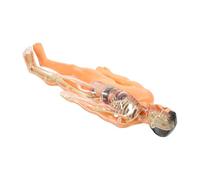 Veemoon 1 Set Translucent Human Body Puzzle Model Anatomy DIY with Removable Organs for Cognitive Development for Family Learning and Interactive Education Activities