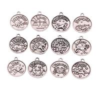Veemoon 1 Set Zodiac Alloy Pendant Charm Set for DIY Jewelry Making Retro Decor for Necklaces Bracelets Keychains More for Friends and Loved Ones