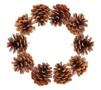 Veemoon 10pcs Parrot Chewing Toys Pine Cone Hanging Wear-resistant Bird Cage Bite Toy Foraging Plaything Natural Pet Parrot for Cage Birds