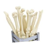 Veemoon 10pcs Plastic Bone Ballpoint Pens Realistic Bone Shape 0.7mm Black Ink Random Styles for Doctor Nurse Vet Student Office School