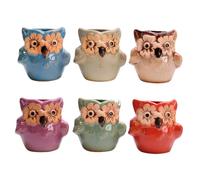 Veemoon 2pcs Owl Shaped Ceramic Flower Pot with Drainage Holes for Cuttings
