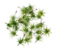 Veemoon 30pcs Miniature Artificial Flowers DIY Simulation Grass Decor for Sand Table Models Versatile Fake Flower Ornaments for Micro Landscape Crafting