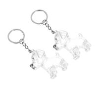 Veemoon 4pcs Transparent Pet Hair Keepsake Box Keychain Abs Dog Hair Collector Capsule for Bags and Keys Portable Memorial Charm Protecting Fur From Moisture and Dirt Compact Keepsake for