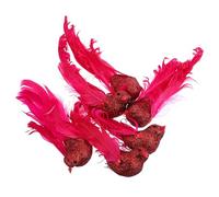 Veemoon 6pcs Lifelike Simulated Birds Decor with Faux Plumage and Glitter Powder High Simulation Foam Birds for Tree Decoration and Garden Landscaping for Home and Outdoor Ornamental Use