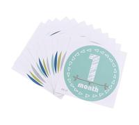 Veemoon Baby Milestone Photo Stickers Paper Assorted Colour Commemorating Baby's First Year Recording Milestones Photo Props for Boys
