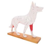 Veemoon Canine Acupuncture Model Dog Body with Acupoint Markings Veterinary Anatomy Teaching Tool Student Training Animal Anatomy Model for Medical and School Use