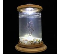Veemoon Desktop Aquarium Tank Glass Micro Landscape Bottle with Rotating Round Tank and LED Iron Tree, Household Fish Bowl Suitable for Office and Home Decor