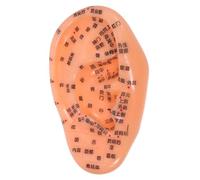 Veemoon Detailed Ear Acupuncture Model with Clear Chinese Markings for Reflexology Practice Hand-Eye Coordination Training and Traditional Chinese Medicine Education Teaching Aid for