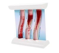 Veemoon Dynamic Blood Vessel Model for Teaching, Anatomical Model Made of Acrylic and PP, Easy to Operate, Shows Evolution of Blood Vessels, Suitable for Doctor'S Office and Classroom Use