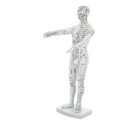 Veemoon Human Body Acupuncture Model, Practical Plastic White Acupoint Display Model for Chinese Teaching, Realistic Body Simulation, Home Routines and Classroom Learning