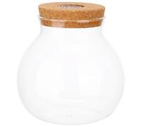 Veemoon Hydroponic Glass Terrarium Vase with Cork Lid 15cm X16cm Desktop Propagation Station for Indoor Plant Growth and Tabletop Gardening Decor