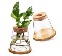 Veemoon Hydroponic Planter Glass Propagation Station 2pcs Vases 330ml with Stable Base for Table and Window Sill Plant Display