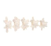 Veemoon Lumbar Spine Model Anatomical Model, Pvc White 1:1 Life Size, 5 Lumbar Vertebrae, Teaching Presentation Tool for Science Classroom Study and Anatomical Study
