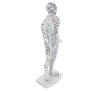 Veemoon Male Human Body Acupuncture Model with Precise Pressure Point Mapping Realistic Meridian Display for Chinese Medicine Training Educational Acupoint Mannequin for Students and