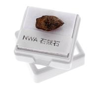 Veemoon Olive Meteorite Specimen Stone Irregular Teaching Tool Decorative Science Gift for Astronomy Enthusiasts Box Packaging Approximately 1.5g Random Color