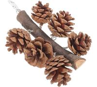 Veemoon Parrot Chewing 6 Small Natural Pine Cones Hanging Bird Cage for Parakeets and Parrots Cage Biting Fun Balance Training Pet Supplies
