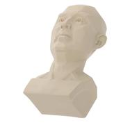 Veemoon Realistic Adult Man Bust Model for Sketch Training Durable Resin Sculpture with Smooth Surface Life Drawing Tool for Art Students and Professionals Easy to Clean Desktop Ornament