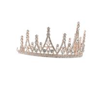 Veemoon Rose Crown Headband for Birthday Party Delicate Comfortable Headdress Shiny Wedding Accessory for Fits Adorable Photography Prop