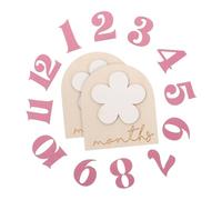 Veemoon Wooden Monthly Milestone Discs Kit for Photography Props Decorative Milestone Cards for Newborn Photoshoot for First Year