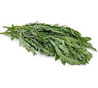 Veena's Fresh Agathi Leaves Green Spinach Keerai Healthy Leafy Green Vegetable Cooking Approx 500G Product India