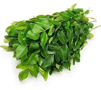 Veena's Fresh Curry Leaves Natural Aromatic Indian Herb for Extra Aroma in Cuisine Weight Approx 40g