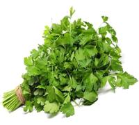 Veena's Fresh Parsley Single Bunch Vegetarian Natural Herb Fresh Leaf Fresh Curly Parsley