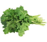 Veena's Fresh Saag Leaves - 2 Bunches Mustard Leaves Sarso Ka Saag Leaf Green Leafy Spinach Broad Leaves