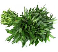 Veena's Ponnaganni Spinach 1KG Fresh Ponnankanni Leaves Green Leafy Vegetable for Healthy Cooking Indian Origin