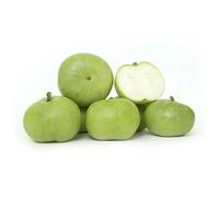 Veenas Tinda Round | 1KG | Apple Gourd | 100% Fresh Vegetable | Indian Origin