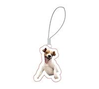 Veeteah Cute Mobile Phone Pendant, Mobile Phone Lanyard Band, Rolling Cat and Dog Emoticon Mobile Phone Strap with Acrylic Chain for Teenagers and Adults, Siehe Beschreibung, Acrylic, See description