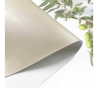 Vegan Beige Leather from Olive Waste, 100% Plant Based, Awarded, Next Generation Sustainable Material with Multi Sizes, Leathers for Art & Crafts - A4 Sample (21x29.7cm)