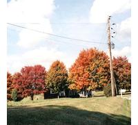 vegas water taxi - things are gonna be alright (extended edition) [VINYL]