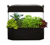 vegepod Kitchen Garden Black Smart Indoor Growing for Kitchen Herbs Gourmet Herb and Vegetable Plant Set, Self-Watering, LED Grow Light