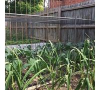 Vegetable Cage Height 1.2m Width 1.2m x Length 1.5m Complete with Black Butterfly Netting 5 x 7mm, Pegs and Clips. Stop Cabbage White Butterflies