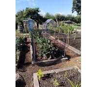Vegetable Cage Height 1.2m Width 1.2m x Length 2.4m Complete with Black Butterfly Netting 5 x 7mm, Pegs and Clips. Stop Cabbage White Butterflies
