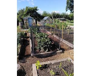 Vegetable Cage Height 1.2m Width 1.2m x Length 2.4m Complete with Black Butterfly Netting 5 x 7mm, Pegs and Clips. Stop Cabbage White Butterflies