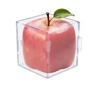 Vegetable Growing Molds - 3.15x3.15x3.15 Inch Transparent Reusable Fruit & Cucumber Growth Shaping Mold, Cube & Triangle Shape Maker For Tomatoes Pumpkins Strawberries Apples