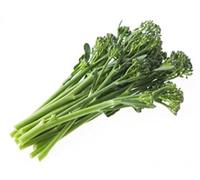 Vegetable Plants, Broccoli 'Slenderstem', 12 x Full Plant Pack, Sprouting Broccoli, Grow Your Own, Garden Veg, Garden Ready and Ready to Plant, Premium Quality Vegetables